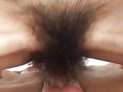Hairyest گربه bvr