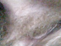 سابق gf