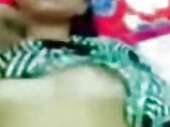 گربه خجالتی خجالتی مالایی busty